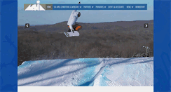Desktop Screenshot of goskimichigan.com